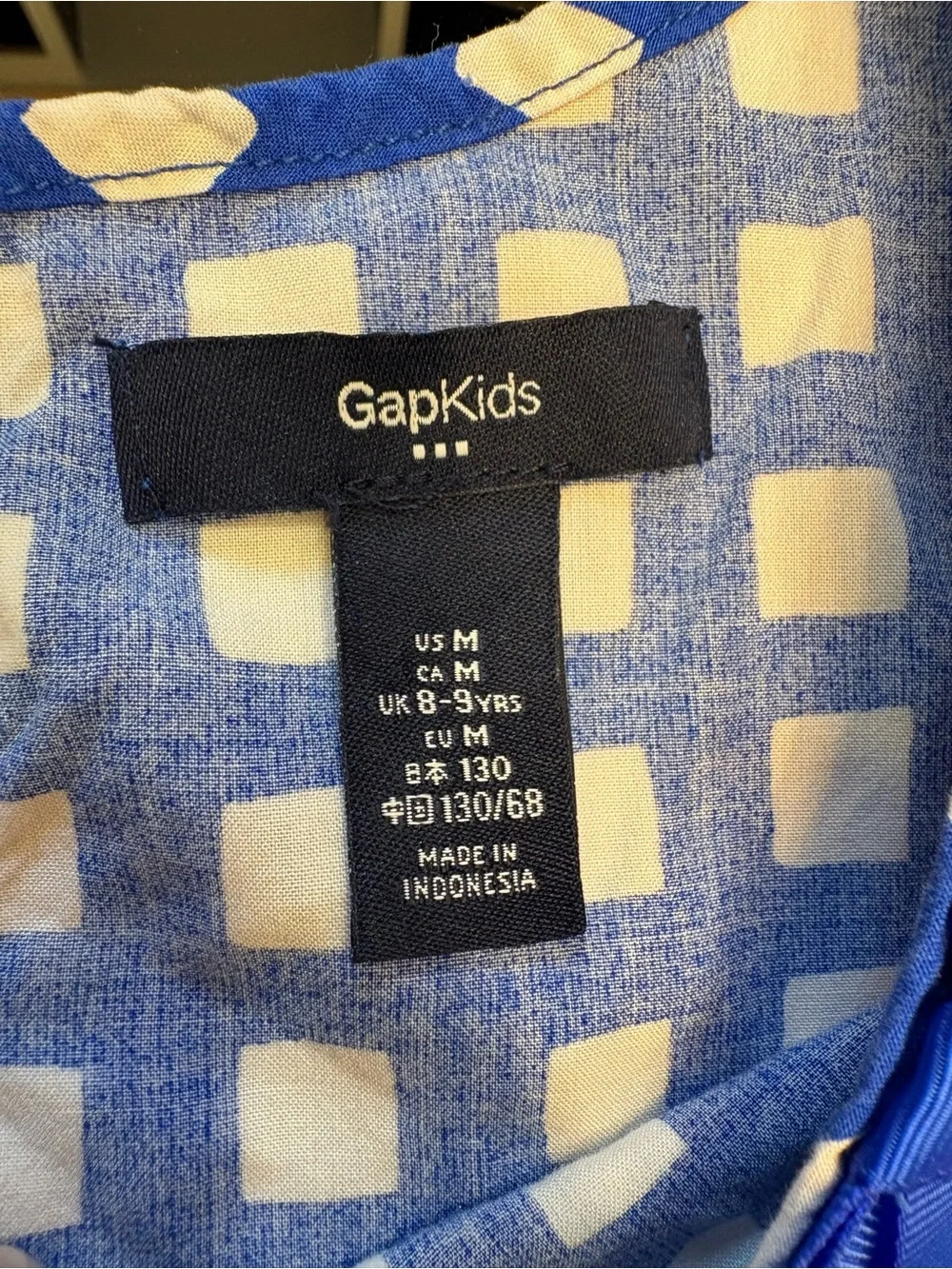 GAP Blue and White Gingham Puff-Sleeve Dress